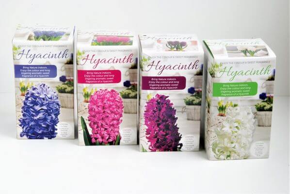 10 1 598x400 Best Horticultural Packaging Design Centre – Greenlife by immij