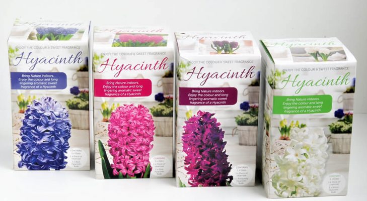 10 1 e1537239691622 729x400 5 Tips for Stand out Horticultural Packaging Design