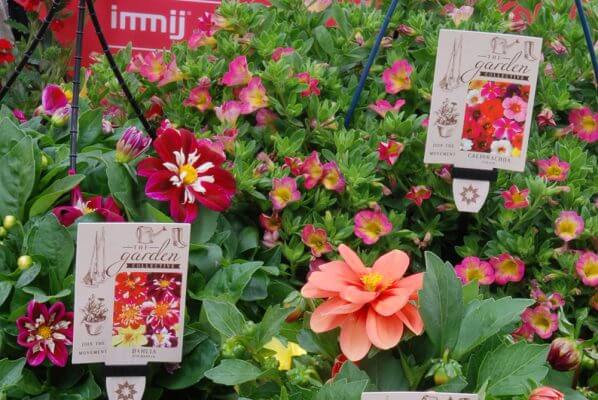 3 2 598x400 The Seasonal Plant Tags Your Wholesale Nursery Needs for 2019