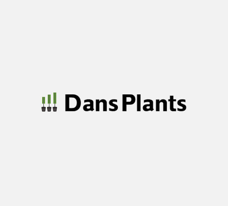 dp Dans Plants   Bird of Paradise Label