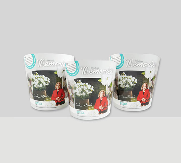 pd Horticultural Packaging Design