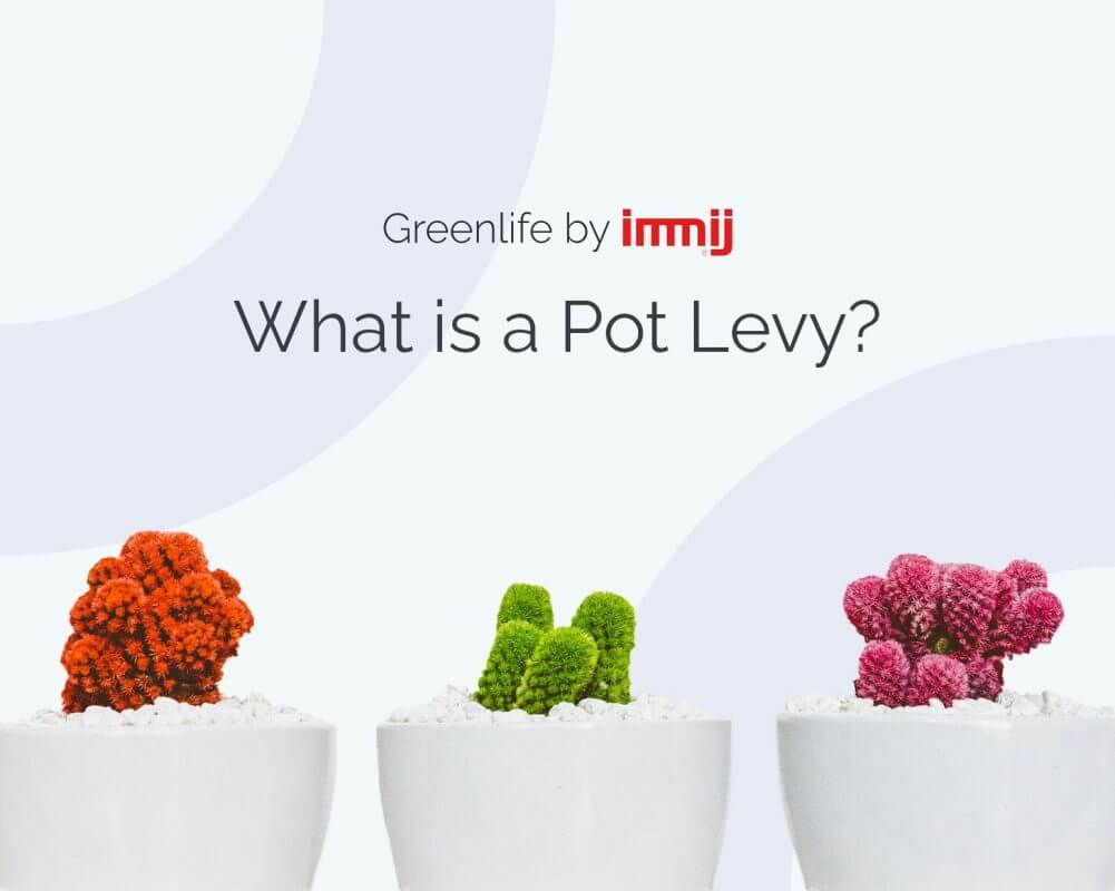 what-is-pot-levy