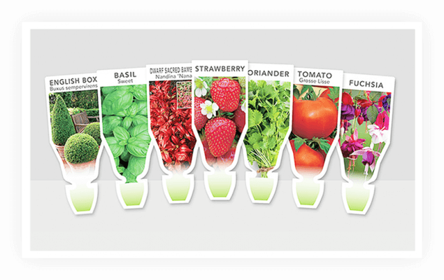 a1 635x400 Labels that Move You: Choosing Lenticular Labels for Versatile Plants