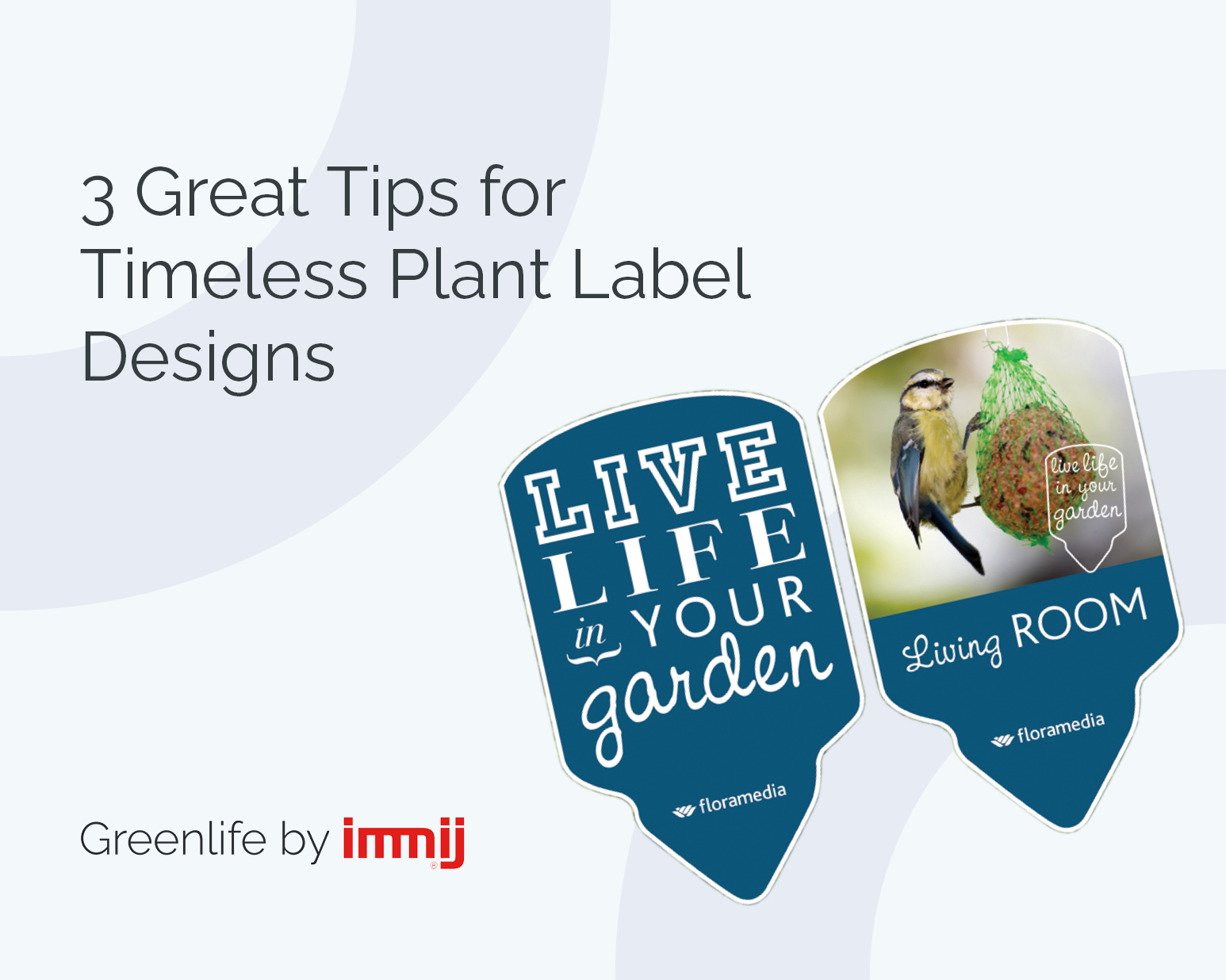 3-great-tips-timeless-plant-