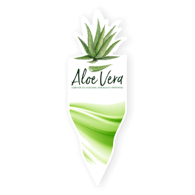 av33 400x400 Dans Plants   Aloe Vera Label