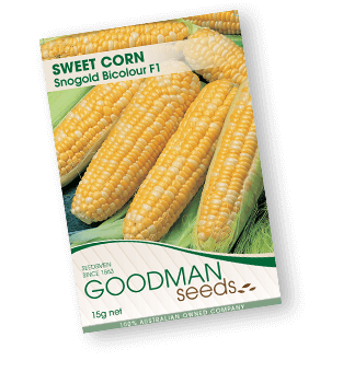 cs1 b Goodman Seeds