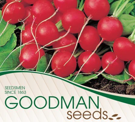 gs cs b 444x400 Everything You Need to Know about Custom Plant Seed Packets for Your Wholesale Nursery