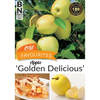 apple golden delicious 400x400 Plant Tags Direct to Your Wholesale Nursery within 10 Working Days