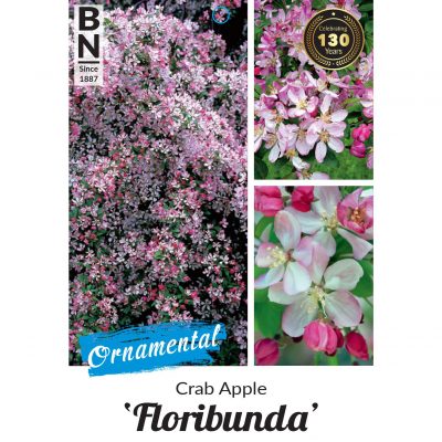 crab apple floribunda 400x400 How Plant Wholesalers Can Get the Most out of Their Promotional Material