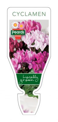 PRD131 190x400 The Seasonal Plant Tags Your Wholesale Nursery Needs for 2019