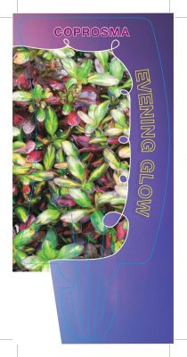 %name New to Greenlife   6 Innovative Promotional Stock Labels