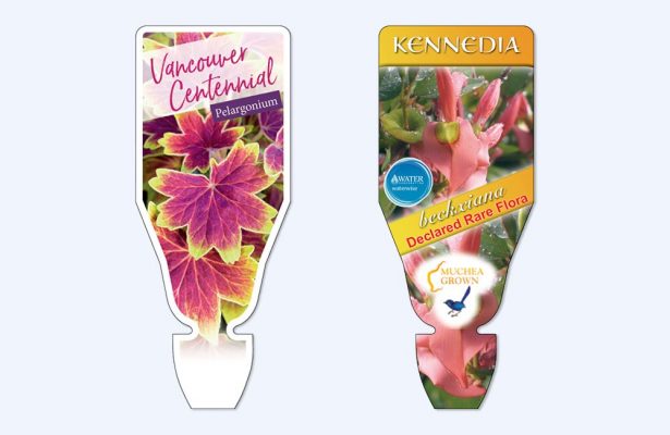 greenlife immij custom florastik 2 615x400 Plant Tags with the Greenlife by Immij Difference