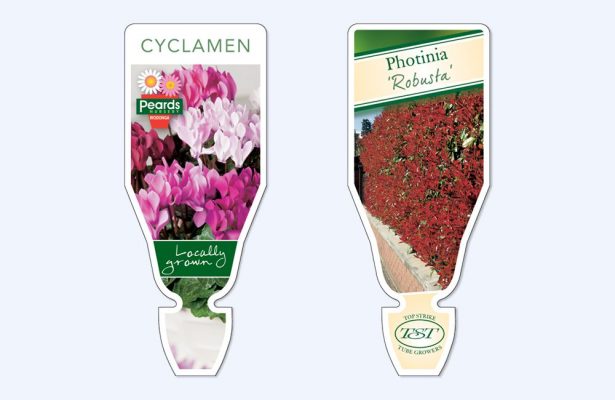 greenlife immij custom florastik 3 615x400 Trademarks for Plant Tag Labels