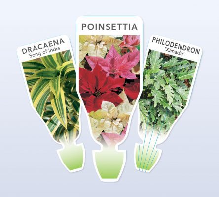 plant tags 444x400 Plant Label Options for Indoor Plants