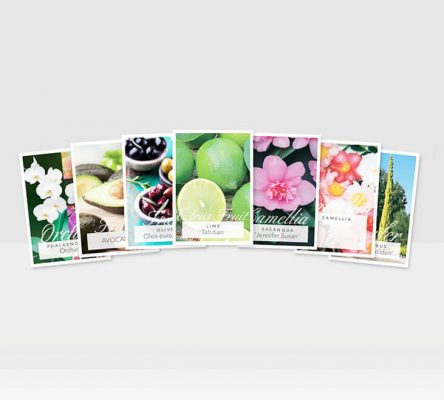 plant tags.2 444x400 Tips for Marketing for The Horticultural Industry