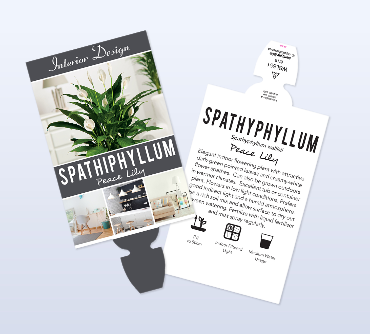 grenlife page featured image spathiphyllum x2 res Plant Labels for Indoor Plants