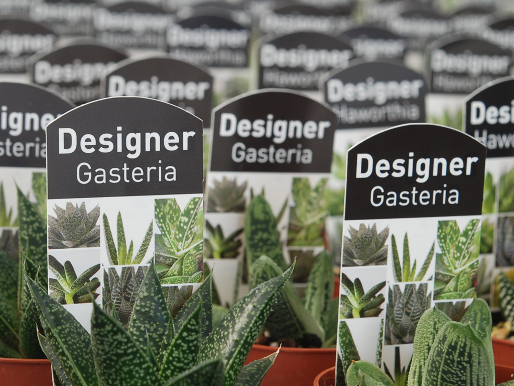 greenlife labels 4x3 2 Plant Labels