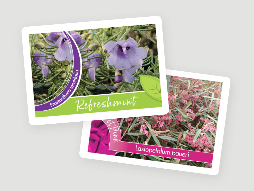 Plant Labels greenlife tags 4x3 4 Plant Labels