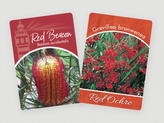 greenlife tags 4x3 6 1 533x400 5 Tips for Amazing Holiday Plant Tags and Plant Labels