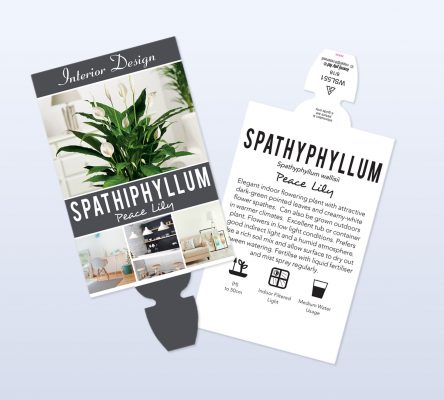 grenlife page featured image spathiphyllum x2 res 444x400 5 Factors That Affect a Plant Tags Longevity